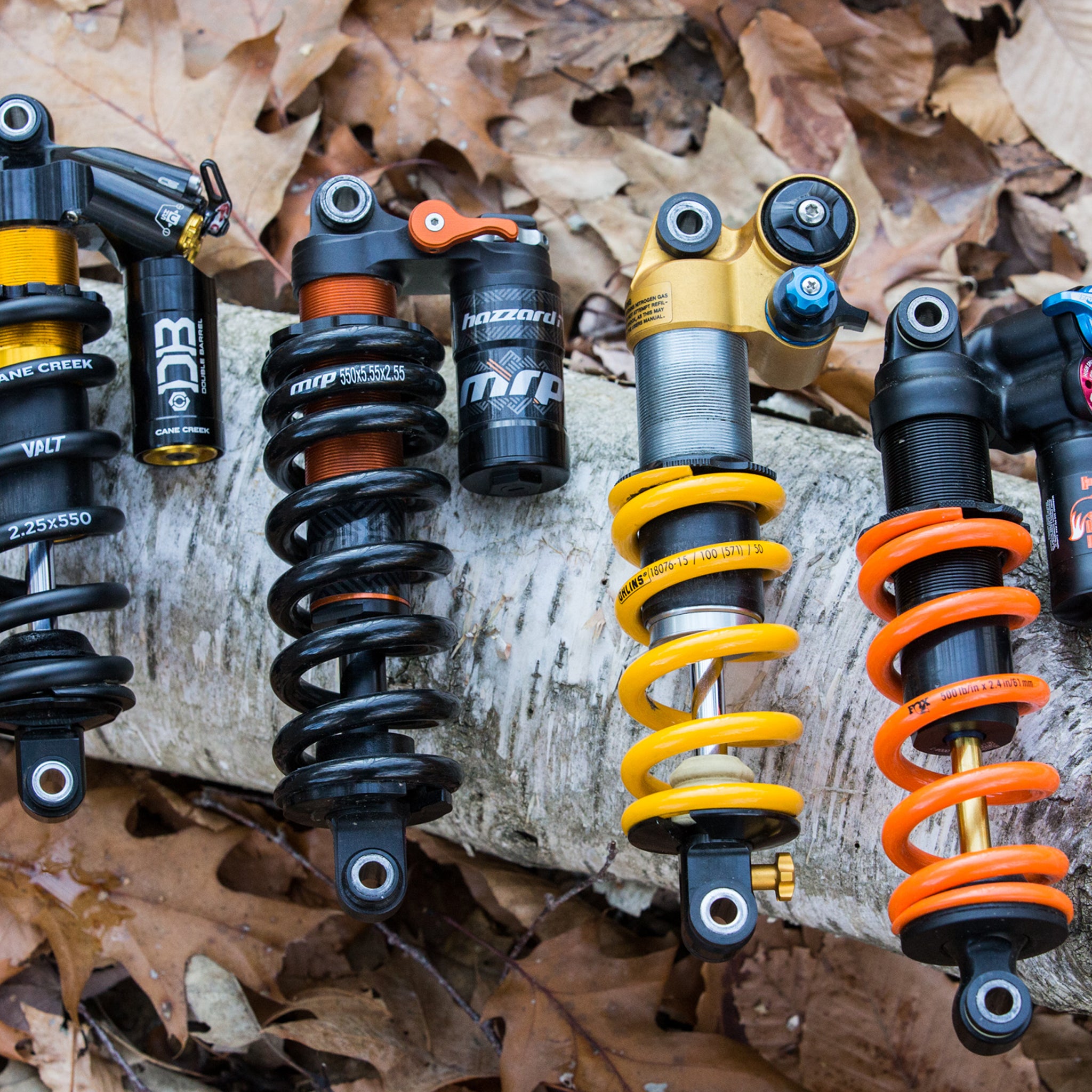 s4 suspension shock bam photo