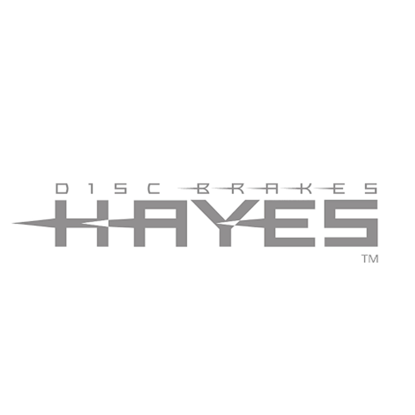 Hayes Dominion T4 brake kit